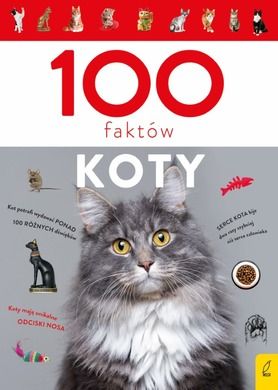 Koty. 100 faktów