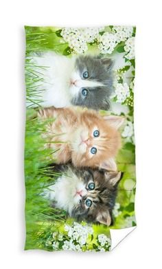 Koty, ręcznik kąpielowy, 70-140 cm