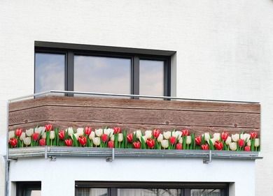 Maximex, osłona na balkon, w tulipany, 5 m x 35 cm