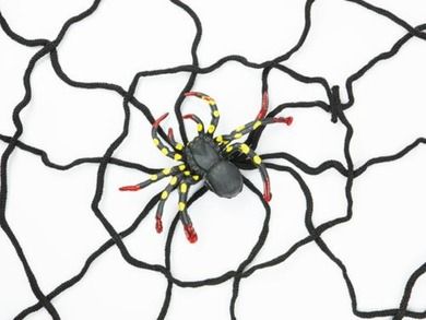 Pajęczyna dekoracyjna, czarna, z pająkiem, 150 cm