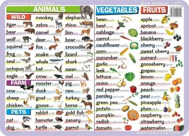 Podkładka edukacyjna, dwustronna, Numbers, time, calendar, means of transport, animals, vegetables & fruits