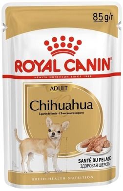 Royal Canin, Adult, saszetka, karma dla dorosłych psów rasy Chihuahua, 85g