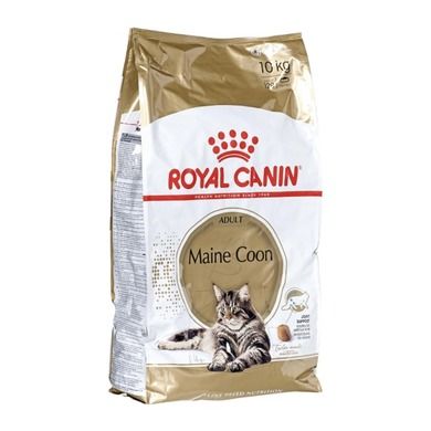 Royal Canin, Maine Coon Adult, karma dla kota, 10 kg