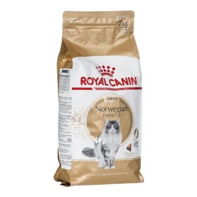 Royal Canin, Norwegian Forest Cat Adult, karma dla kota, 2 kg