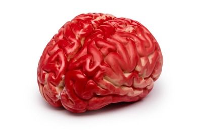 Sztuczny mózg, czerwony