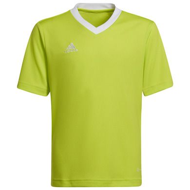 T-shirt chłopięcy, limonkowy, Adidas Entrada 22