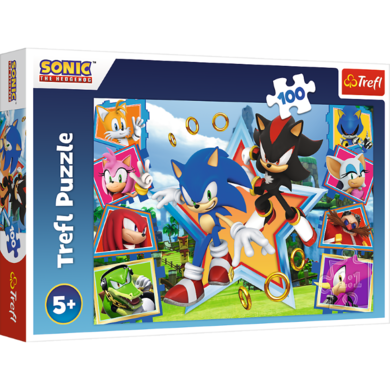Trefl, Sonic, Poznaj Sonica, puzzle, 100 elementów