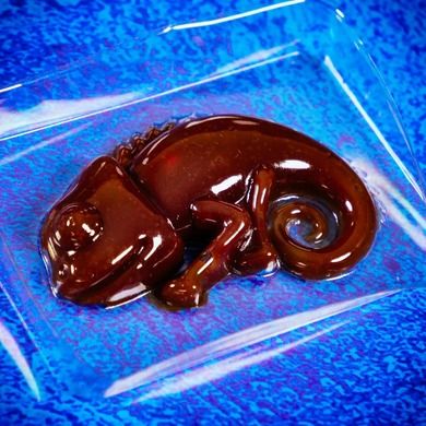 Lisciani, Crazy Science, Slime, kameleon