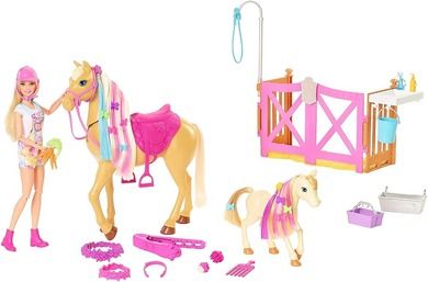 Barbie, Koniki, Stylizacja i opieka, zestaw z lalką i akcesoriami