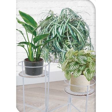 Home Styling Collection, kwietnik metalowy na rośliny, 3 poziomy, biały
