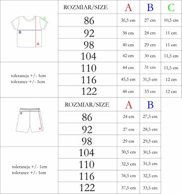 Komplet chłopięcy, T-shirt, Szorty, mix, Nicol