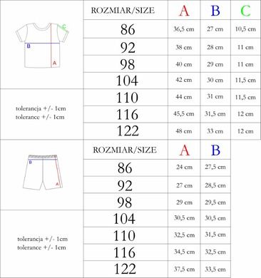 Komplet chłopięcy, T-shirt, Szorty, mix, Nicol