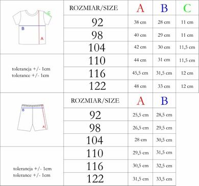 Komplet chłopięcy, T-shirt, Szorty, mix, Nicol