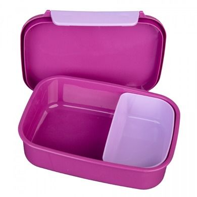 Rainbow High, lunchbox