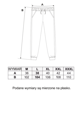 Spodnie dresowe męskie, grafitowe, Moraj