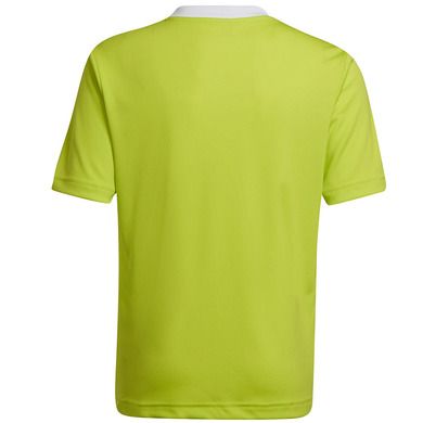 T-shirt chłopięcy, limonkowy, Adidas Entrada 22