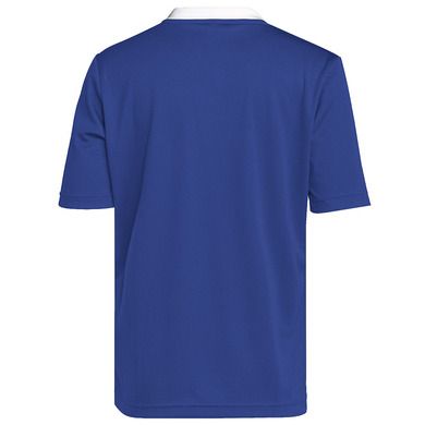 T-shirt chłopięcy, niebieski, Adidas Entrada 22
