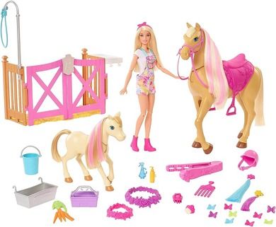 Barbie, Koniki, Stylizacja i opieka, zestaw z lalką i akcesoriami