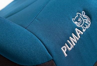 Caretero, Puma Isofix, podstawka samochodowa, 15-36 kg, green
