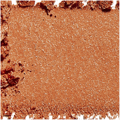 L'Oreal Paris, Bronze To Paradise, 03 Back to Bronze, puder brązujący, 9g