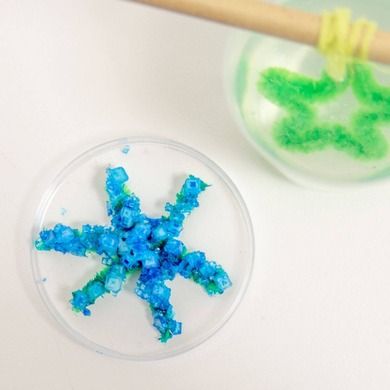 Trefl, Science4You, Warsztacik kryształków, mini zestaw kreatywny