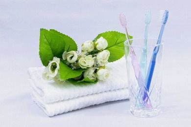 Shinyei, Crystal Fresh, podróżna szczoteczka do zębów z naturalną ceramiką, czyści bez użycia pasty, miękka
