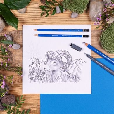 Staedtler, zestaw do rysowania, Design Journey Sketching Set, 12 szt.