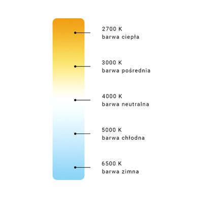 Activejet, taśma LED, AJE-Z300L3528WCI, 5 m, barwa zimna IP65