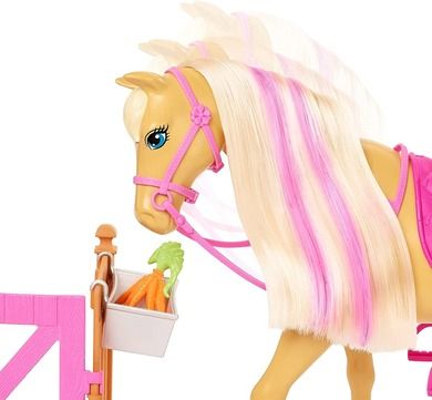 Barbie, Koniki, Stylizacja i opieka, zestaw z lalką i akcesoriami