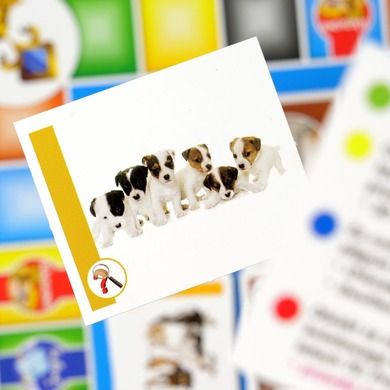 Lisciani, I'm Genius, Super Quiz, 1000 pytań, gra edukacyjna