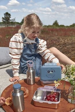 Lassig, Adventure, lunchbox ze stali nierdzewnej, ważka