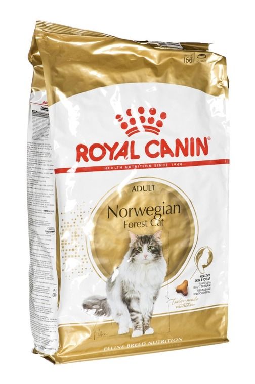 dichtheid Variant Medaille Royal Canin, Norwegian Forest Cat Adult, karma dla kota, 10 kg - smyk.com