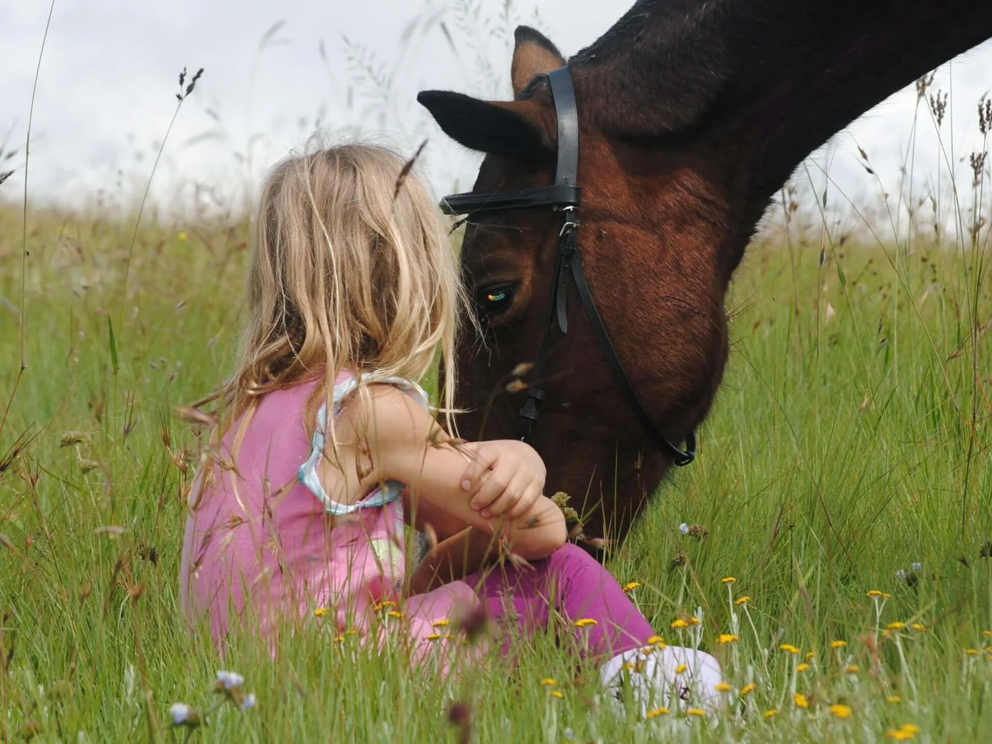 Książki o koniach. 12 propozycji dla dzieci i dorosłych koniarzy