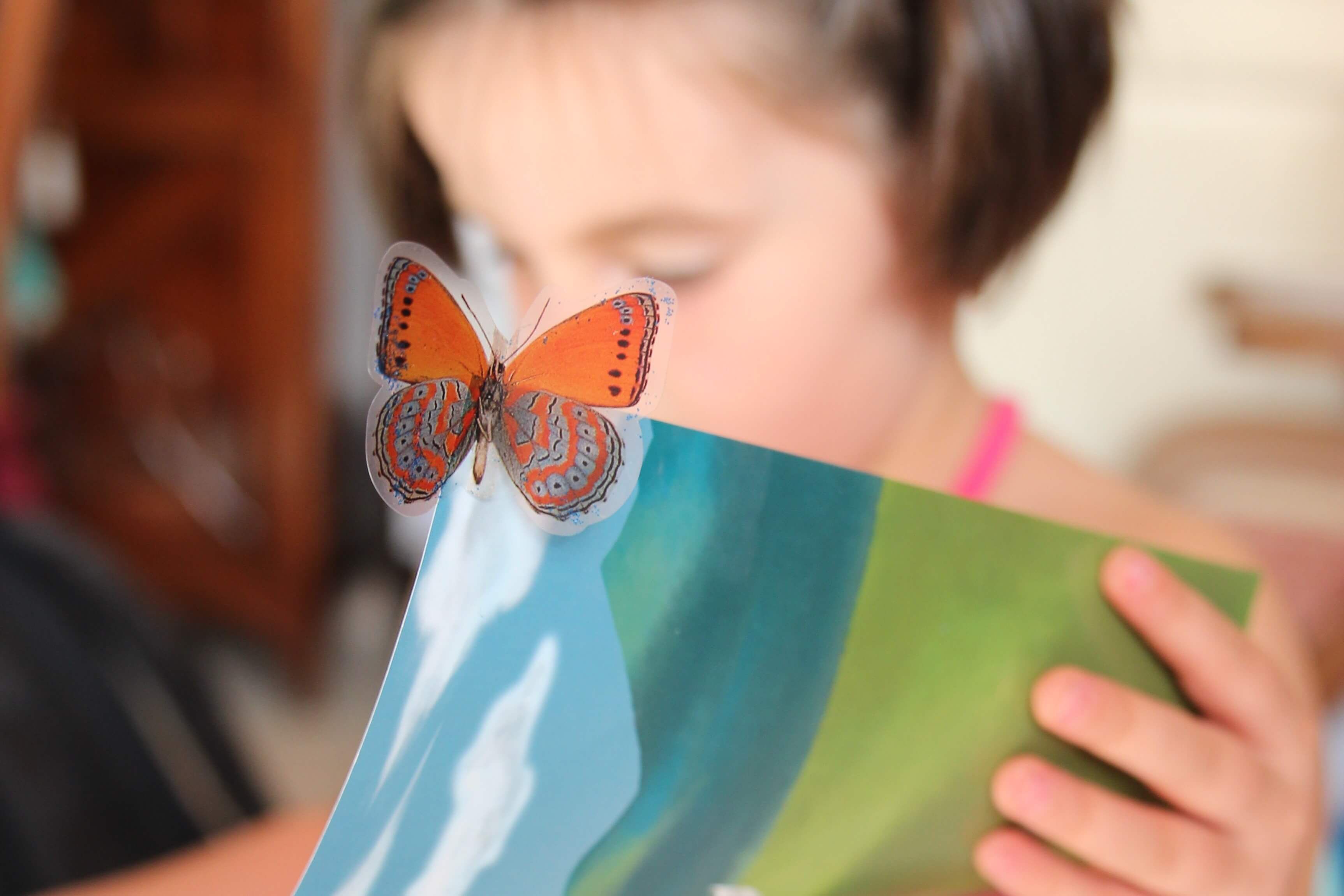 Książki przyrodnicze dla dzieci – 10 bardzo wartościowych i pięknie ilustrowanych tytułów