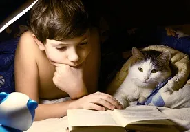 Najlepsze książki o kotach dla dzieci. Ranking