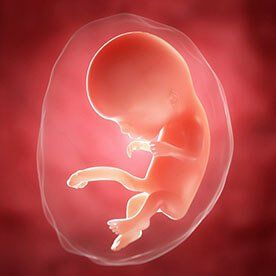 11 tydzień ciąży: pierwsze badanie USG