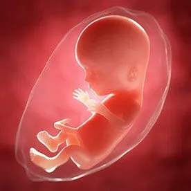 16 tydzień ciąży - pierwsze odczuwalne ruchy dziecka