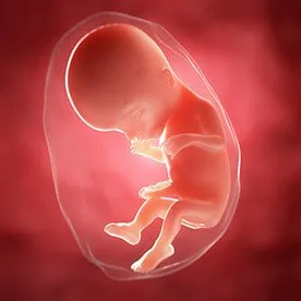 18 tydzień ciąży: pojawienie się rysów twarzy dziecka