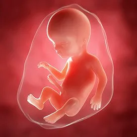 19 tydzień ciąży - kiedy dziecko słyszy w ciąży