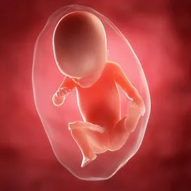 22 tydzień ciąży - dalszy rozwój zmysłów dziecka