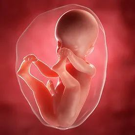 26 tydzień ciąży - intensywny rozwój psychomotoryczny dziecka
