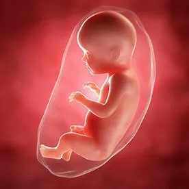 28 tydzień ciąży - pora na liczenie ruchów dziecka