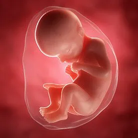 29 tydzień ciąży - dalszy rozwój dziecka