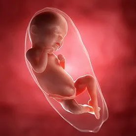 31 tydzień ciąży - wpływ emocji na rozwój dziecka