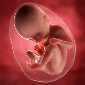 35 tydzień ciąży - szybki przyrost masy ciała dziecka