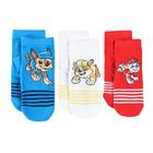 Cool Club, Sosete antiderapante pentru baieti, mix de culori, imprimeu Paw Patrol, set 3 buc.