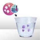 My Little Pony, Mini World Magic, Maretime Bay, set cu figurine si accesorii