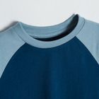 Cool Club, Bluza cu maneca lunga pentru baieti, albastru-bleumarin, imprimeu urs