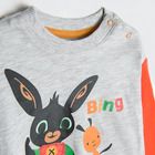 Cool Club, Bluza cu maneca lunga pentru baieti, gri melanj, imprimeu Bing