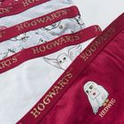 Cool Club, Chilotei pentru fete, mix de culori, imprimeu Harry Potter, set 5 buc.